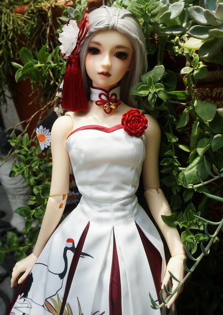 鶴舞禮服