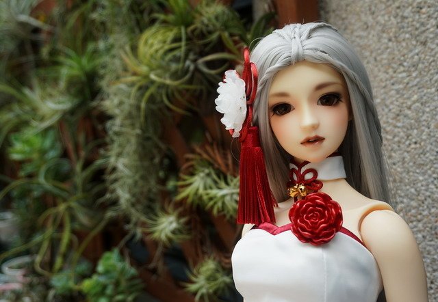 鶴舞禮服