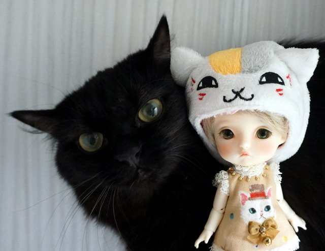 喵喵 &amp; 小蘿莉