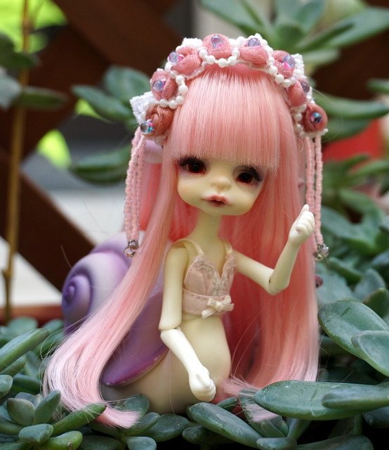 蝸牛逛花園