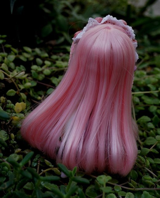 蝸牛逛花園