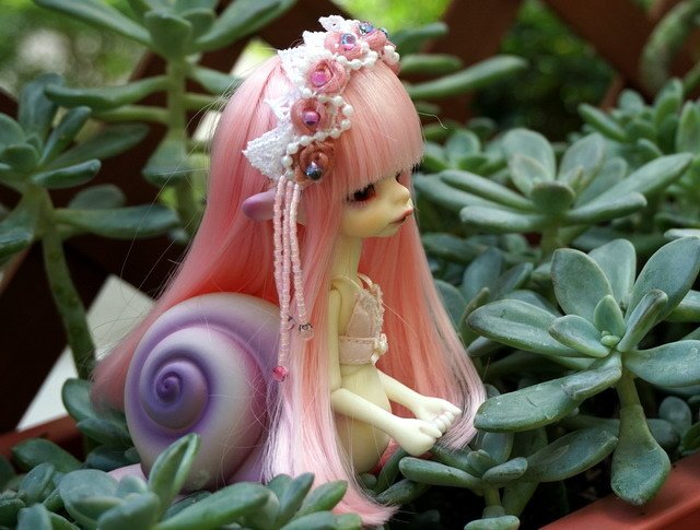 蝸牛逛花園
