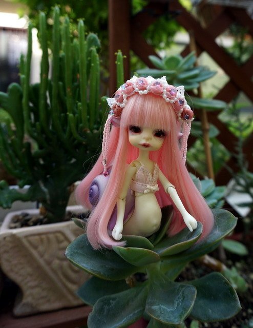蝸牛逛花園