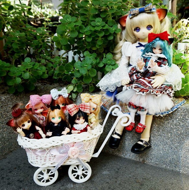 貓耳娘一家