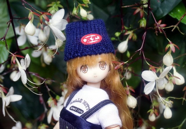 漫步花園