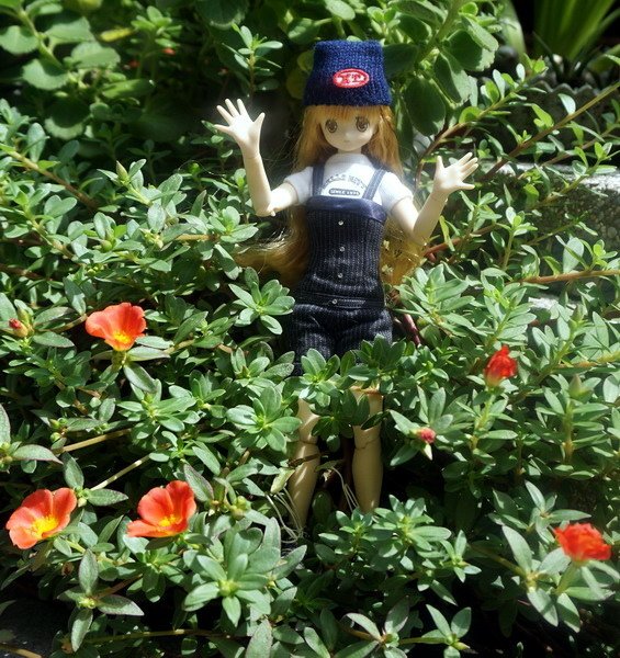 漫步花園