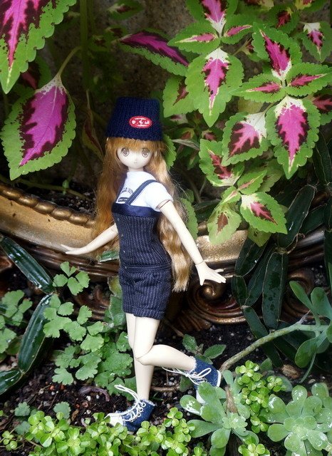 漫步花園
