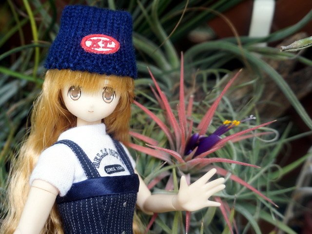 漫步花園