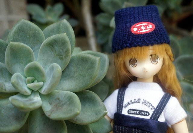 漫步花園