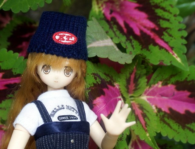 漫步花園