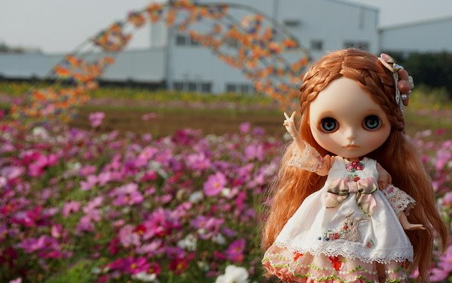 麥鄉少女