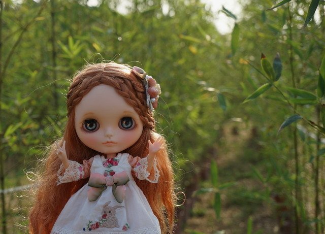 麥鄉少女