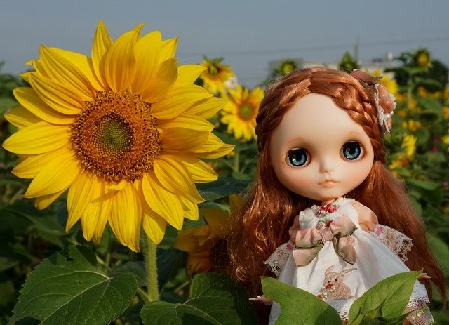 麥鄉少女