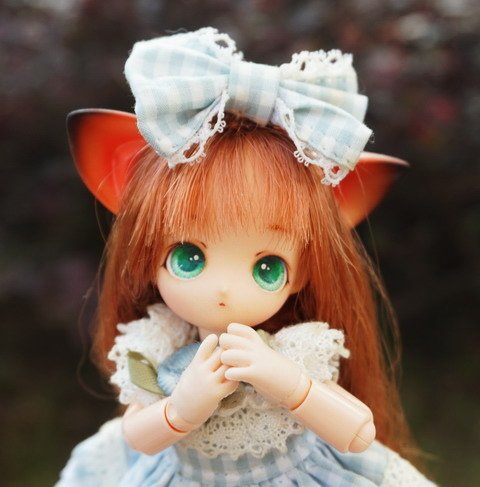 水晶球與小貓女
