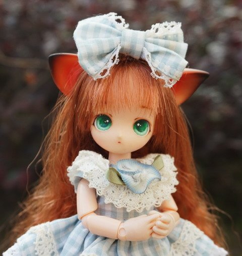 水晶球與小貓女
