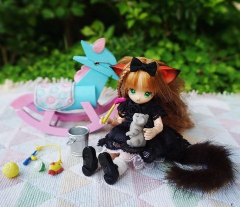 貓耳娘逗小貓