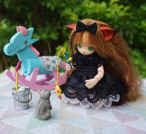 貓耳娘逗小貓