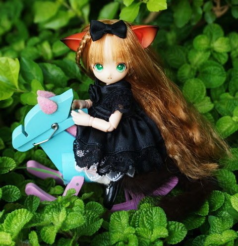 貓耳娘逗小貓