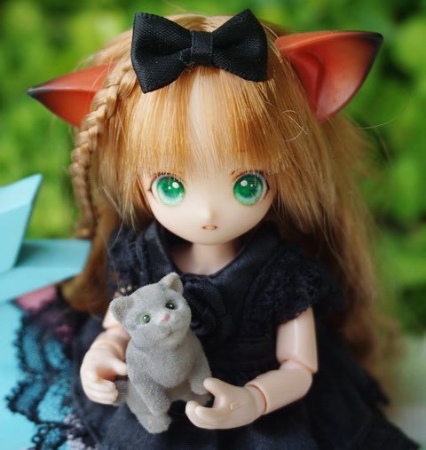 貓耳娘逗小貓