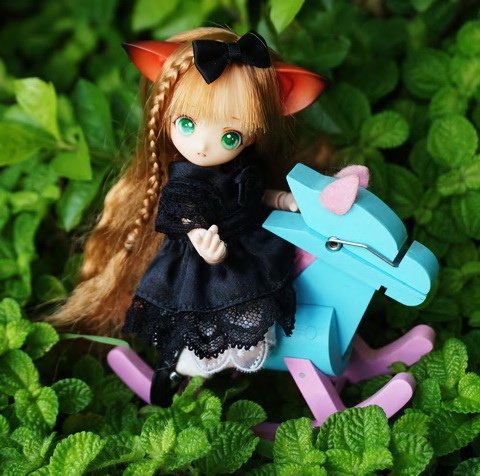 貓耳娘逗小貓