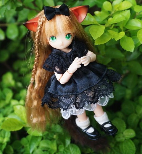 貓耳娘逗小貓