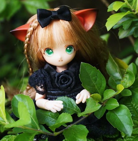 貓耳娘逗小貓