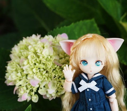 貓耳學生妹