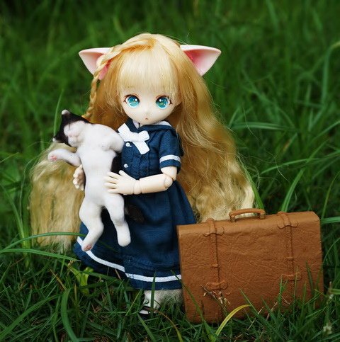 貓耳學生妹