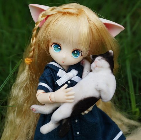貓耳學生妹
