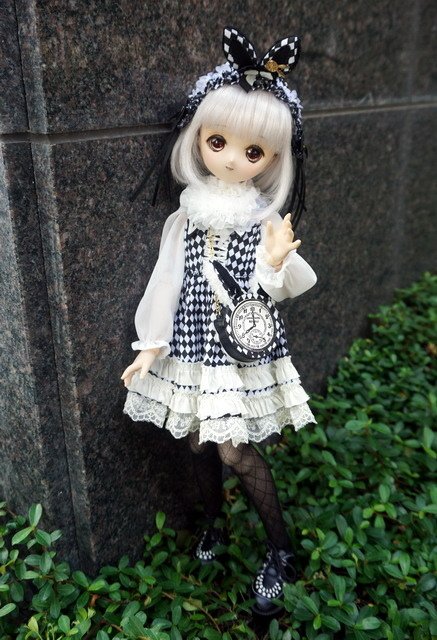 愛麗絲兔娘
