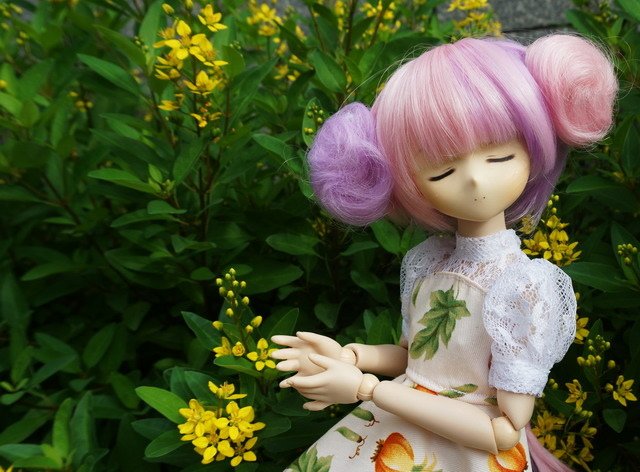 賣雞蛋的少女