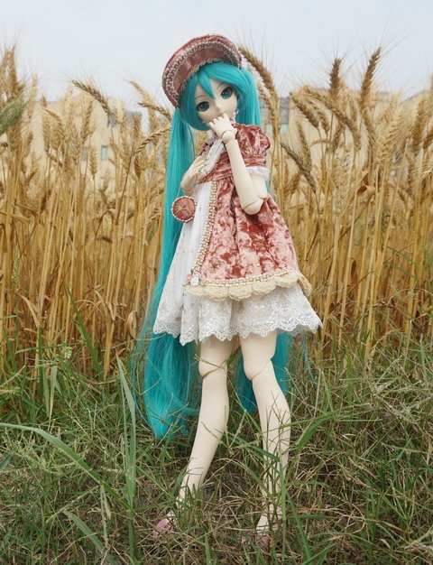 麥田中的初音