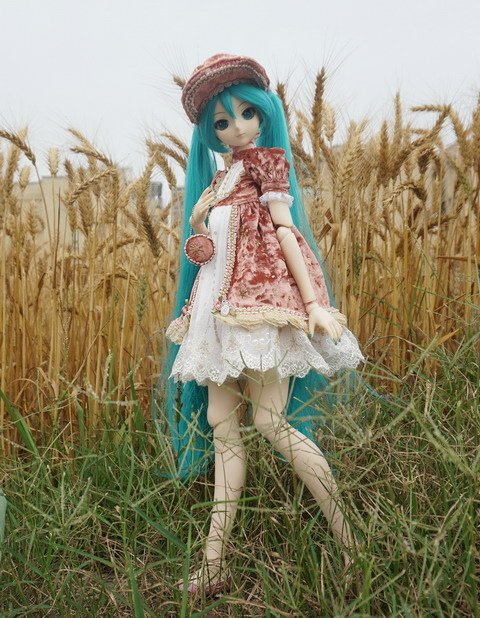麥田中的初音