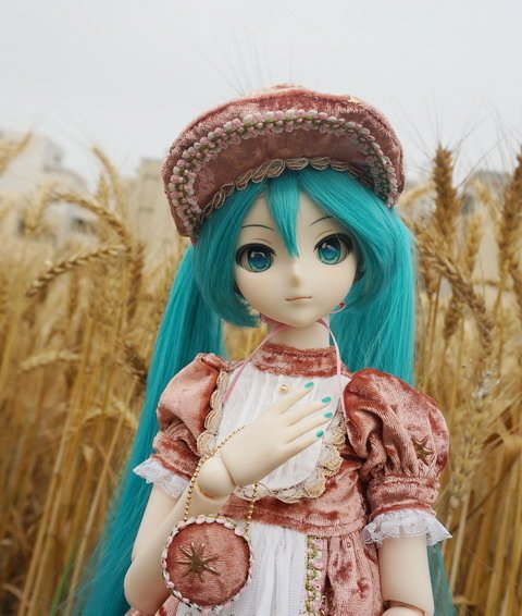 麥田中的初音