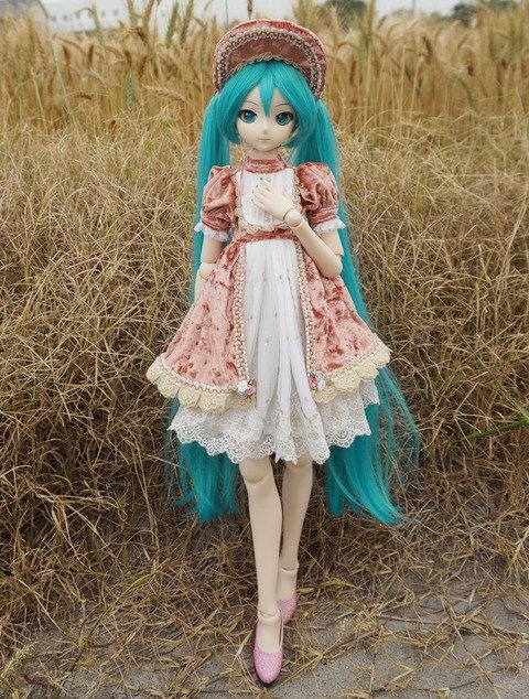 麥田中的初音