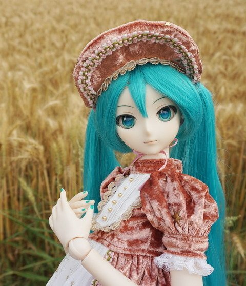 麥田中的初音