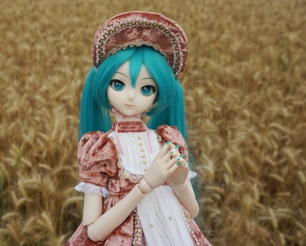 麥田中的初音