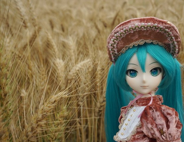 麥田中的初音