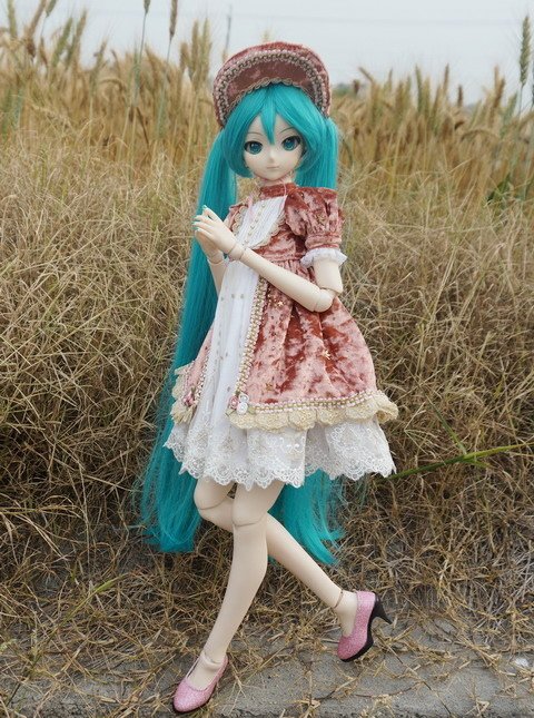 麥田中的初音