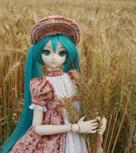 麥田中的初音