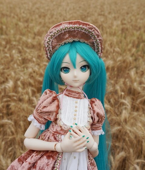 麥田中的初音