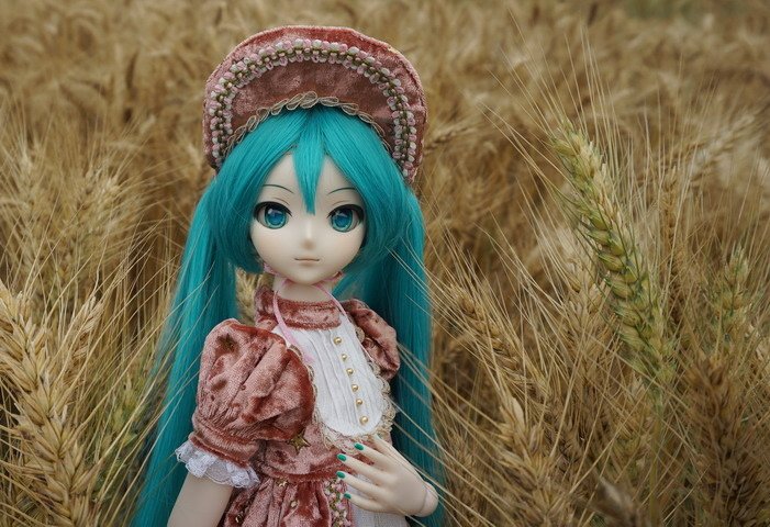 麥田中的初音