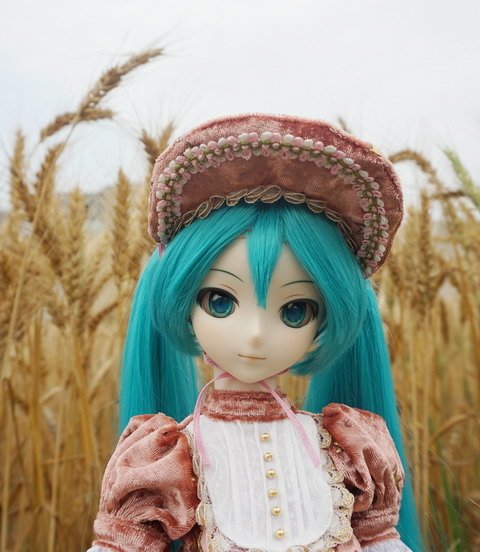 麥田中的初音