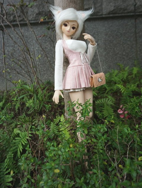 白貓少女