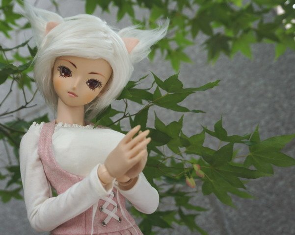 白貓少女