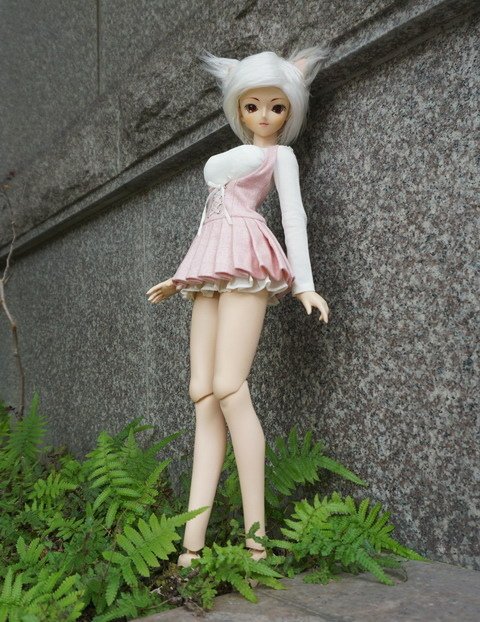 白貓少女