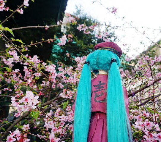 初音★千本櫻