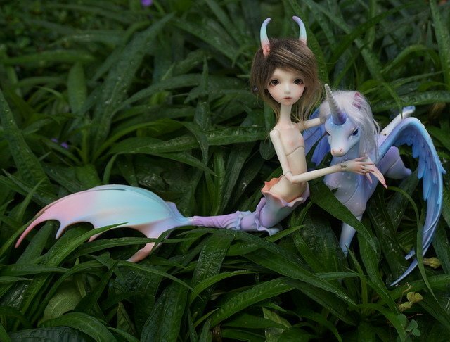 飛馬與鮫人