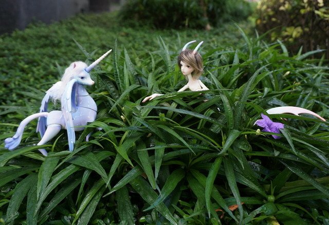 飛馬與鮫人