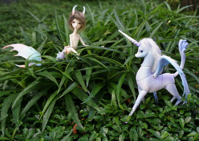 飛馬與鮫人